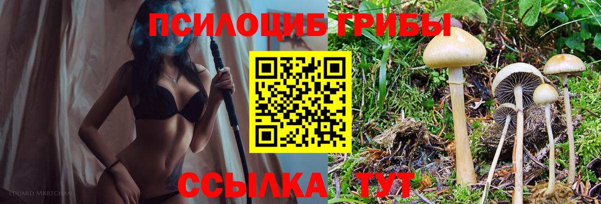 Галлюциногенные грибы MAGIC MUSHROOMS  Вход с VPN  Губаха 